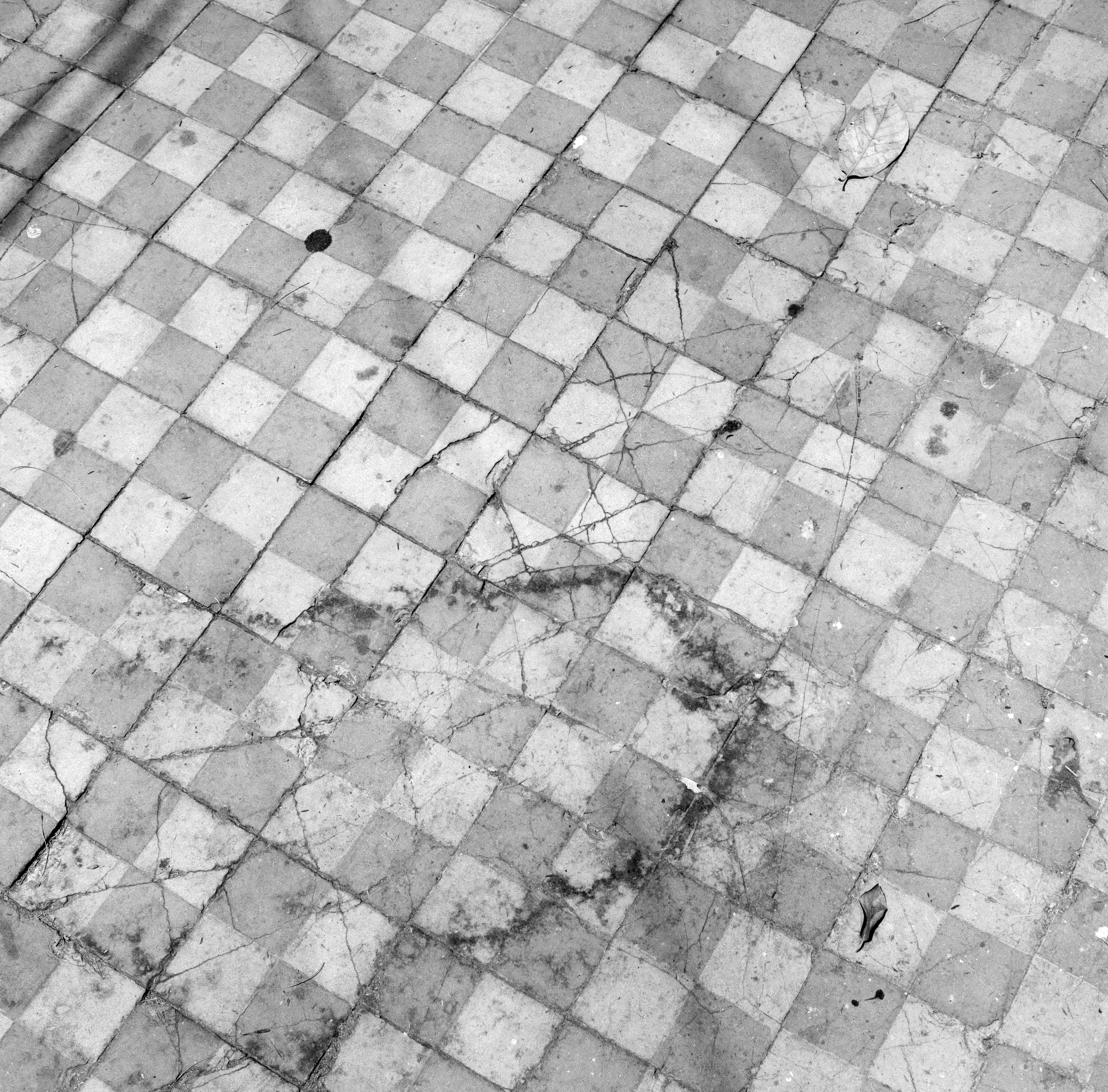 AN OVERHEAD BLACK AND WHITE IMAGE OF THE CRACKED CHECKER TILES FROM A GUADALAJARA SIDEWALK