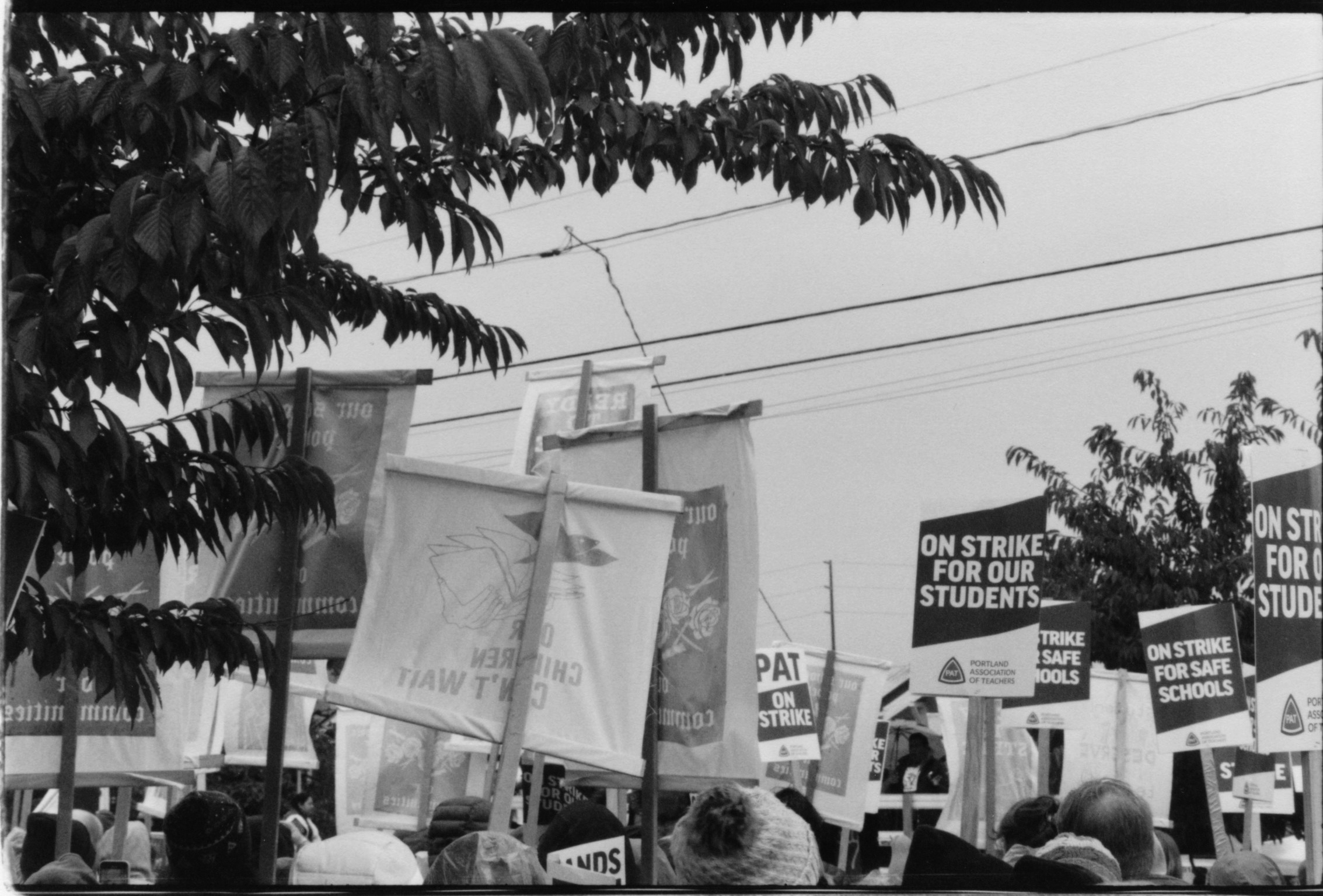 A BLACK AND WHITE PHOTO OF PICKET SIGNS IN A CROWD UNDER POWER LINES AND A TREE