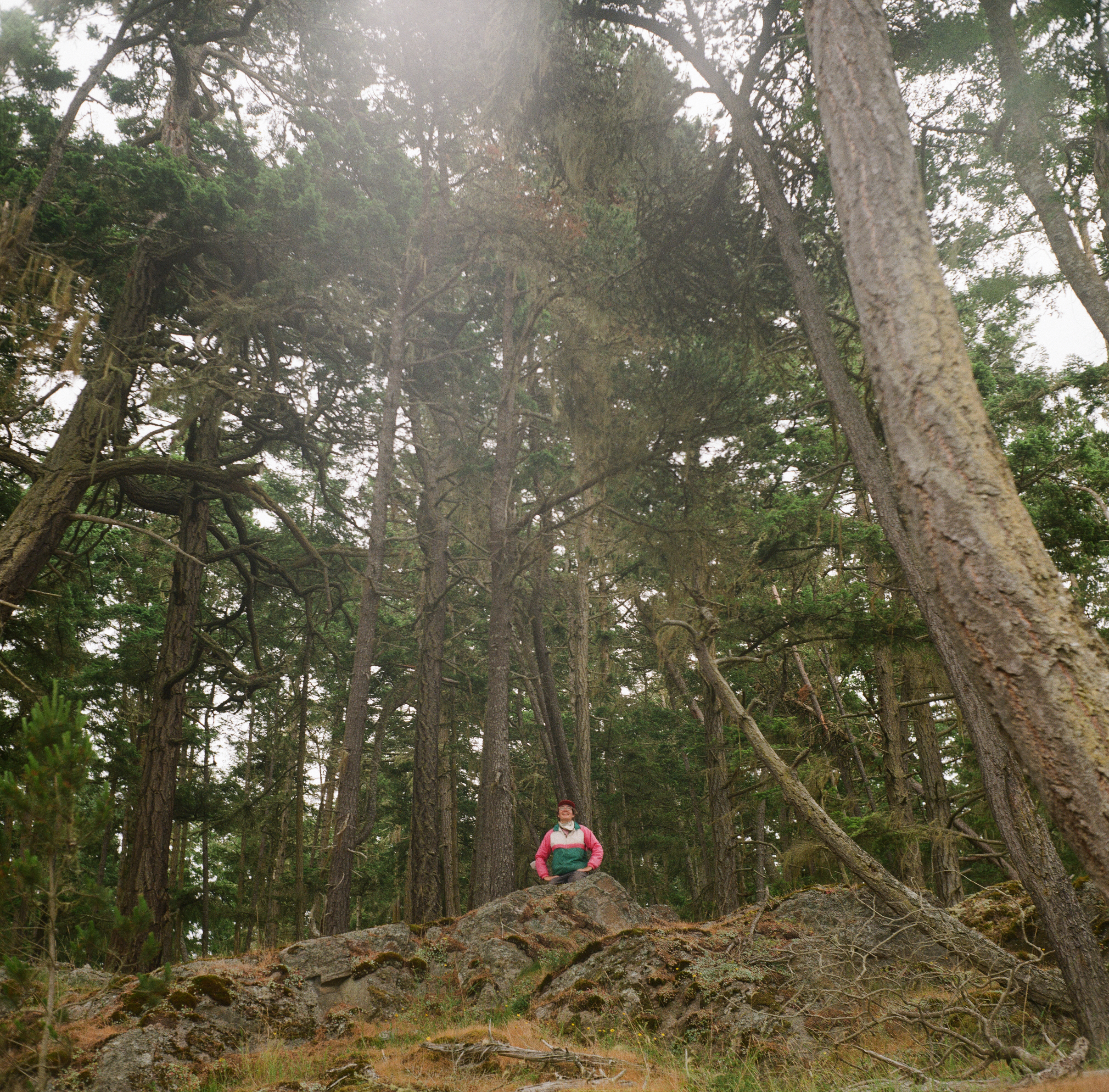 A WHITE LESBIAN IN A WINDBREAKER LOOKS UP AT THE SKY FROM A SMALL HILL WHILE SHE IS SURROUNDED BY COASTAL EVERGREEN TREES