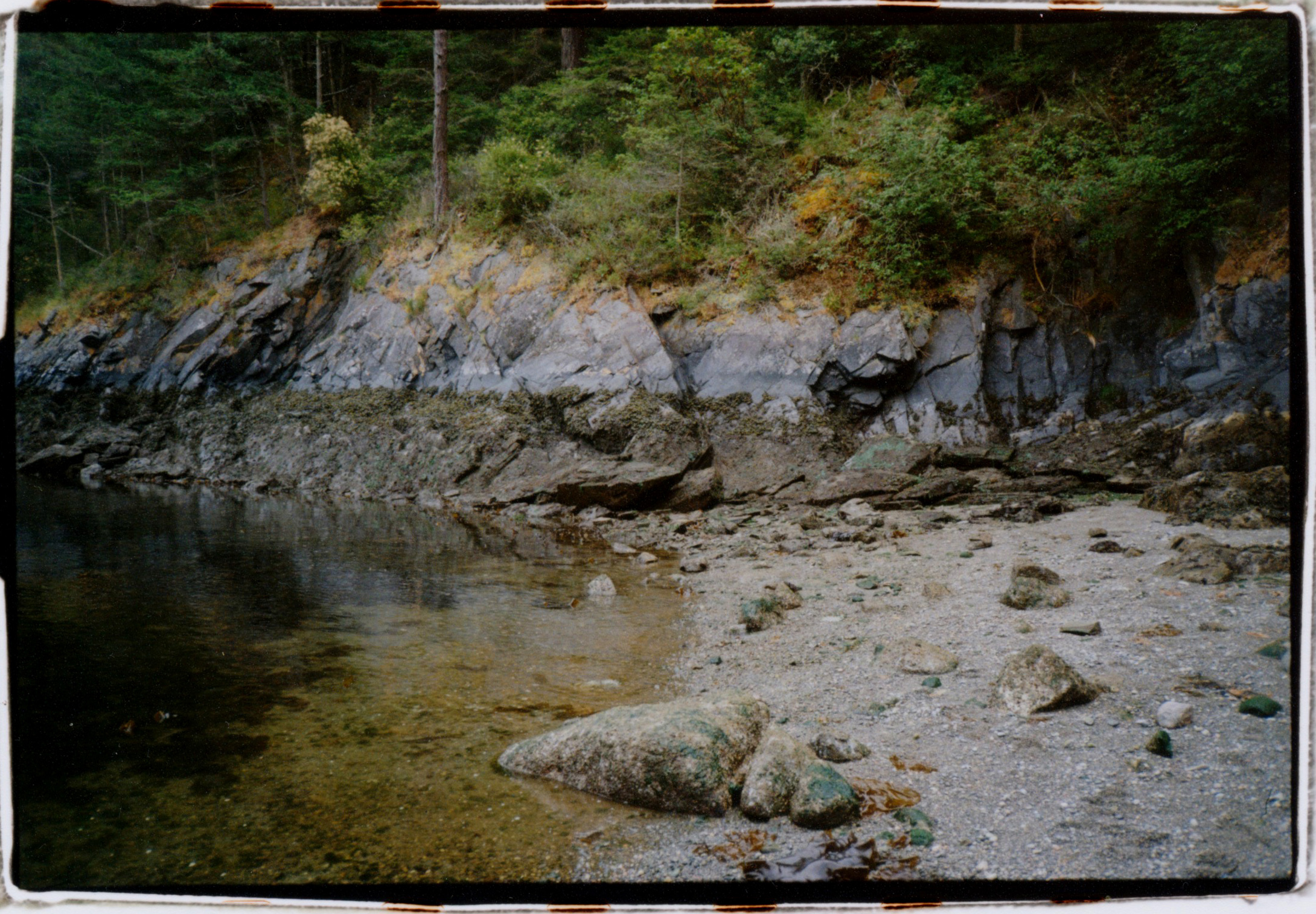 A COLOR PHOTOGRAPH OF A BEACH ON LOPEZ ISLAND SHOWING WATER, ROCKS, SAND, AND PLANTS GROWING ABOVE THE WATER LINE